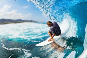 世界马术盛装舞步锦标赛 荷兰组合凭借高难度自由舞拿下金牌